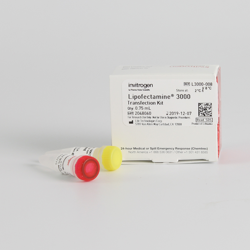 Lipofectamine3000
